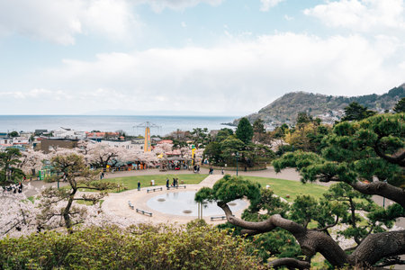 Hakodate, Hokkaido, Japan - April 23, 2023: Aoyagicho Hakodate Park cherry blossoms festivalのeditorial素材