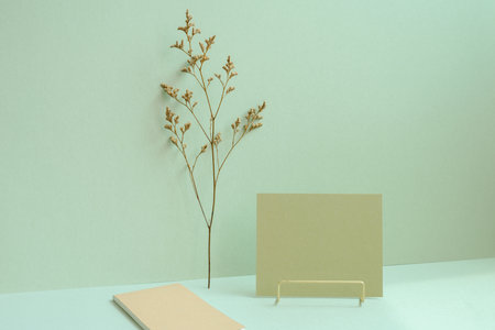 Workspace memo pad, note, dry flower on mint green desk backgroundの写真素材