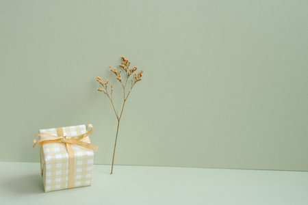 Ivory check pattern gift box and dry flower on mint green backgroundの写真素材