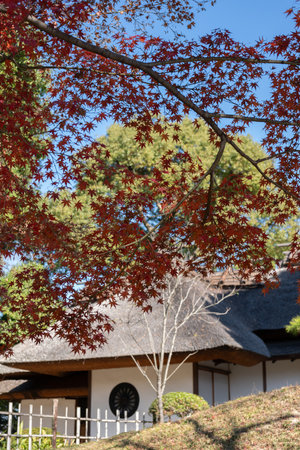 Hiroshima, Japan - December 4, 2023: Shukkeien Garden autumn sceneryのeditorial素材