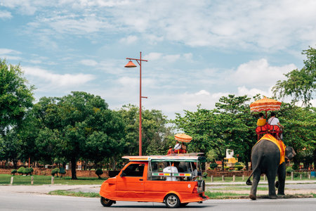 Ayutthaya Historical Park elephant tour in Thailandのeditorial素材