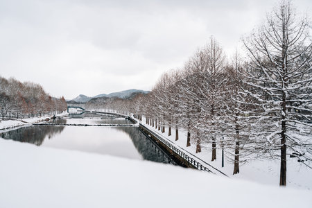 Winter Scenery of Gwanbangjerim Forest and River in Damyang, Koreaのeditorial素材