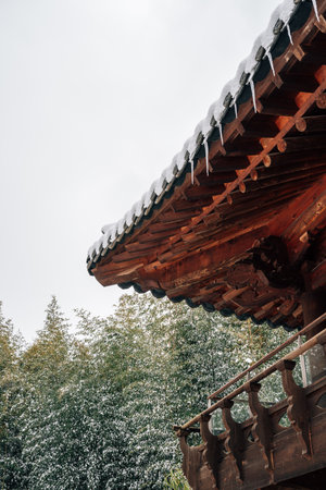Winter Scenery of Juknokwon Bamboo Forest in Damyang, Koreaのeditorial素材