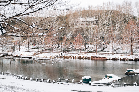 Winter Scenery of Gwanbangjerim Forest and River in Damyang, Koreaのeditorial素材