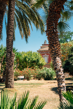 Ciutadella Park palm trees garden in Barcelona, Spainのeditorial素材