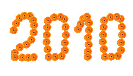 Orange gerbera flowers on white background building number 2010