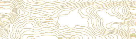 Seamless wooden pattern. Wood grain texture. Dense lines. Abstract white background. Vector illustrationのイラスト素材