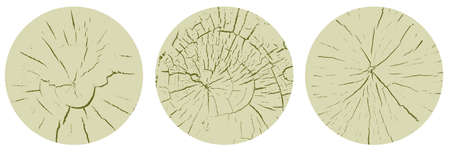 Set of circle wood texture, cross section of tree rings. Cut slice of wooden stump with cracks, isolated on white. Vectorのイラスト素材