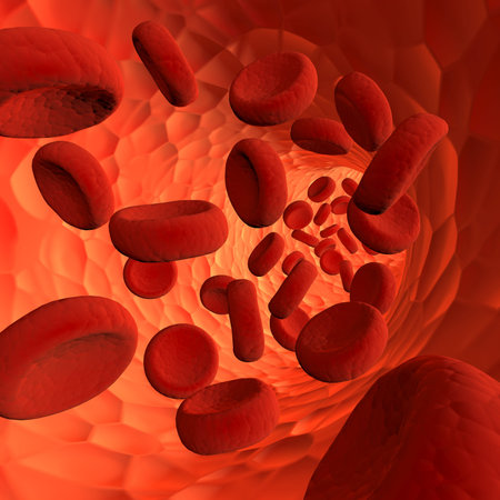 blood cells flying through arteries. Circulating hemoglobin blood bodies flowing inside human vein....
