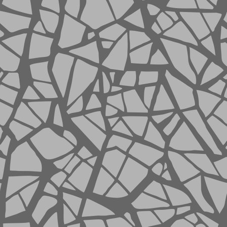 Shard of glass. Ceramic cracks texture. Craquelure seamless terrazzo pattern. Grunge texture, consisting of fine broken on the glazed surface. Vectorのイラスト素材