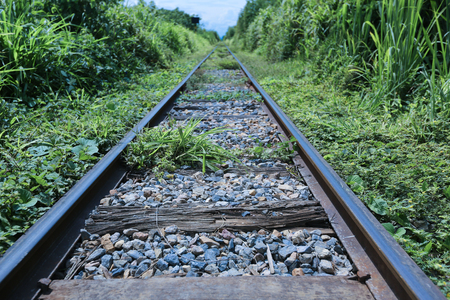 train railの写真素材