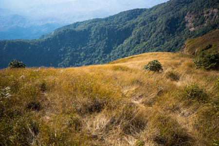 Kew Mae Pan Nature Trail, Chiangmai Thailandの写真素材