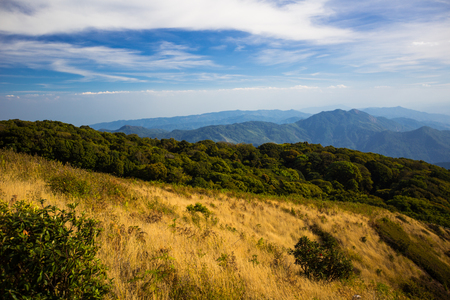 Kew Mae Pan Nature Trail, Chiangmai Thailandの写真素材