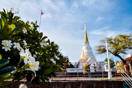 top eye view of the songkhla district in songkhla, Thailandのeditorial素材