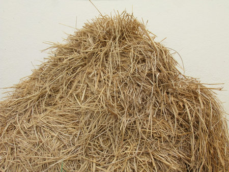 straw