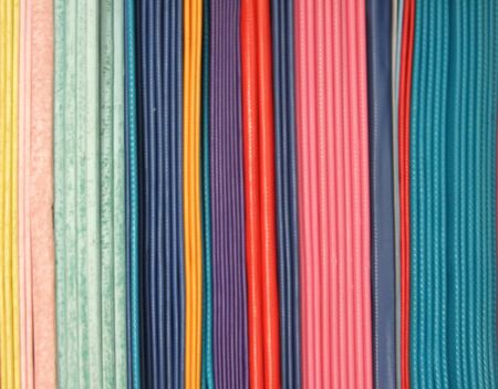 spineの写真素材