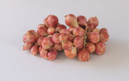 Shallots   Food  backgroungの写真素材