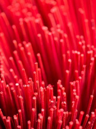 Plenty of red  insense joss sticks