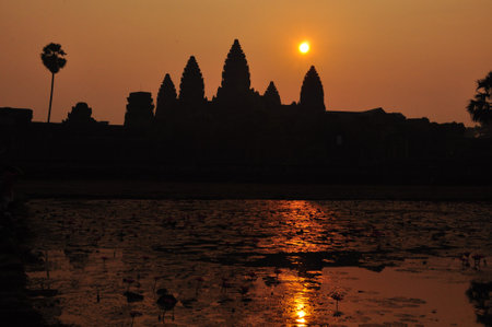 sunrise at angkor wat temple, cambodia,Asiaの写真素材