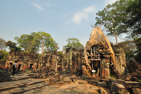 Tree root overgrowing parts of ancient Preah Khan Temple at angkor Wat Area in Cambodiaのeditorial素材