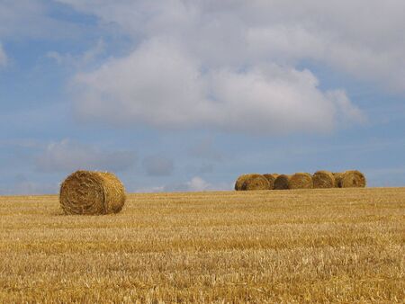 Hay bales in Summerの写真素材