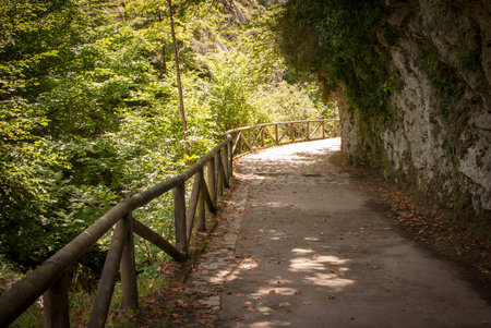 path with a wooden walkway next to a river in Asturias