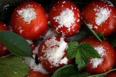 tomatoes with cherry  and currant leaves and salt from topの写真素材
