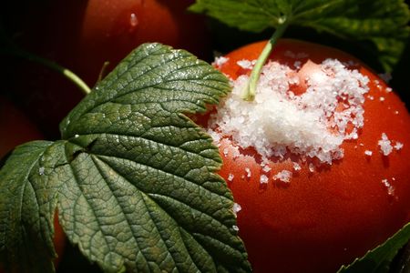 tomatoes with currant leaves and salt macro, detailedの写真素材