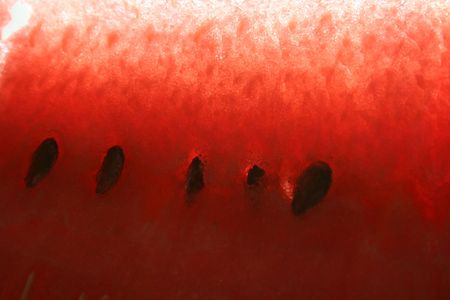 sliced watermelon with seeds macroの写真素材