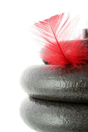 Dumbbell and feather isolated on white 2の写真素材