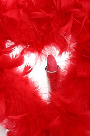 Feathers and  lipstick 2の写真素材