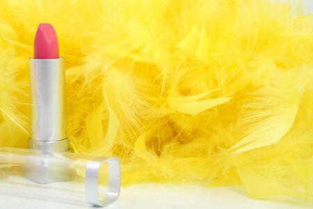 Feathers and  lipstick 2の写真素材