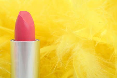 Feathers and  lipstick 2の写真素材
