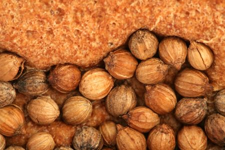 Crust of bread with seeds of a coriander, backgroundの写真素材