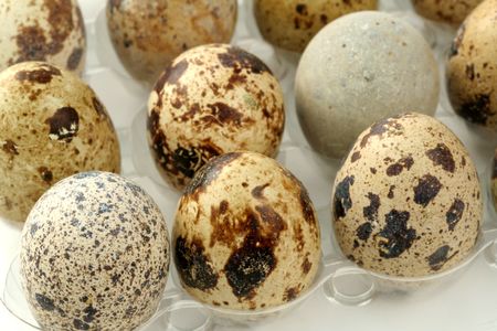 quail's aggs, backgroundの写真素材