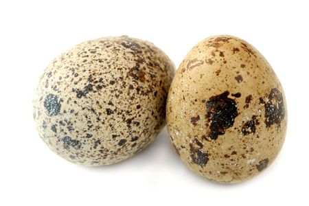 quail's aggs, isolated on whiteの写真素材
