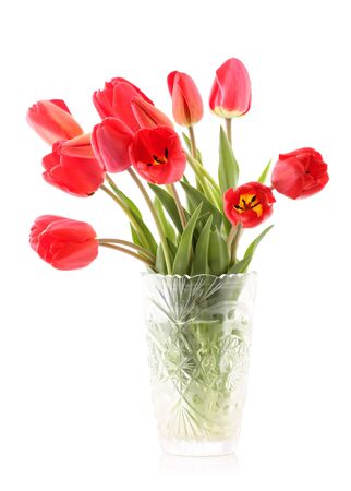 Bouquet of red tulips on a white backgroundの写真素材