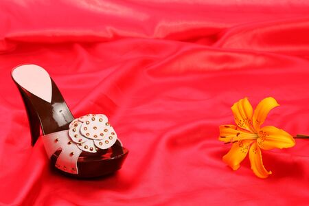 Woman shoes on red satinの写真素材