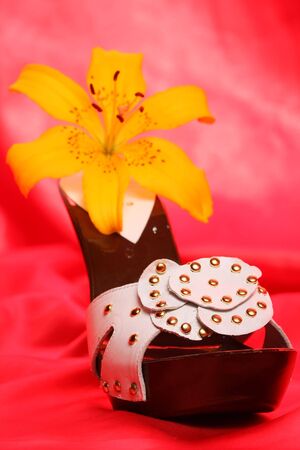 Woman shoes on red satinの写真素材