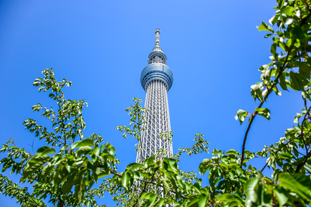 TOKYO, JAPAN - MAY, 2016: Tokyo Skytree, a famous tower and landmark of Tokyoのeditorial素材