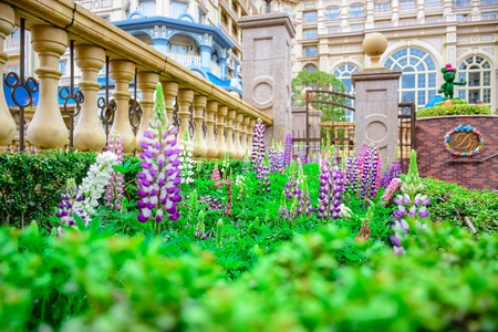 CHIBA, JAPAN: Flowers at the entrance of Tokyo Disneyland Hotel in Urayasu, Chiba, Japanのeditorial素材