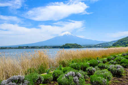 Mount Fuji view from Oishi park at the Lake Kawaguchiko northern coast, Yamanashi Japanの写真素材
