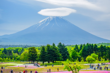 Mount Fuji view behind colorful flower field at Fuji Shibazakura moss phlox Fastival in Kawaguchiko, Japanのeditorial素材