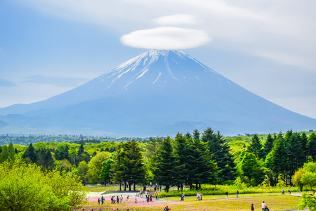 Mount Fuji view with cloud on top of its peak at Fuji Shibazakura moss phlox Fastival in Kawaguchiko, Japanのeditorial素材