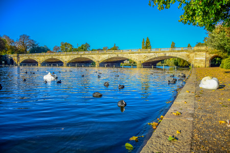 Beautiful landscape view of Serpentine Lake and Serpentine Bridge in Hyde Park, London, United Kingdomの写真素材
