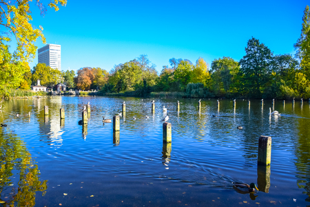 Beautiful landscape view of Serpentine lake in Hyde Park, London, United Kingdomの写真素材
