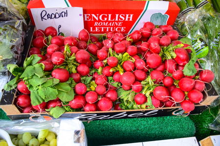 Fresh raddish selling at  Portobello Market in Portobello Road, Notting Hill, London, England, United Kingdomのeditorial素材