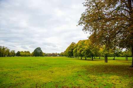 Public green park during autumn season with green field surrounded by trees in London, United Kingdomの写真素材