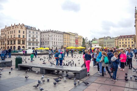 Children enjoying their time feeding flock of pigeon at Main Square of Krakow Old Town, Polandのeditorial素材
