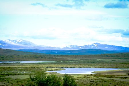 Nature view of Norway countryside with green meadow field forest and mountain top with snow in backgroundの写真素材